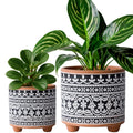 Set of 2 Terracotta Planter Pots, 4 Inch & 6 Inch, Design Plants Pot with Drainage Hole, Midnight Lace, Terracotta/Black, 31-953-F-2